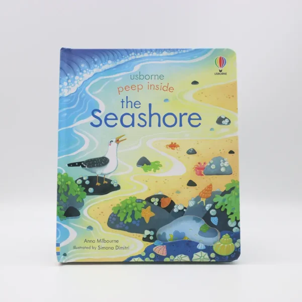 Usborne Peep Inside: Seashore (Lift-the-Flap Book)