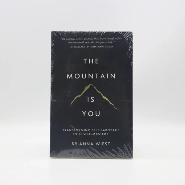 The Mountain Is You by Brianna Wiest